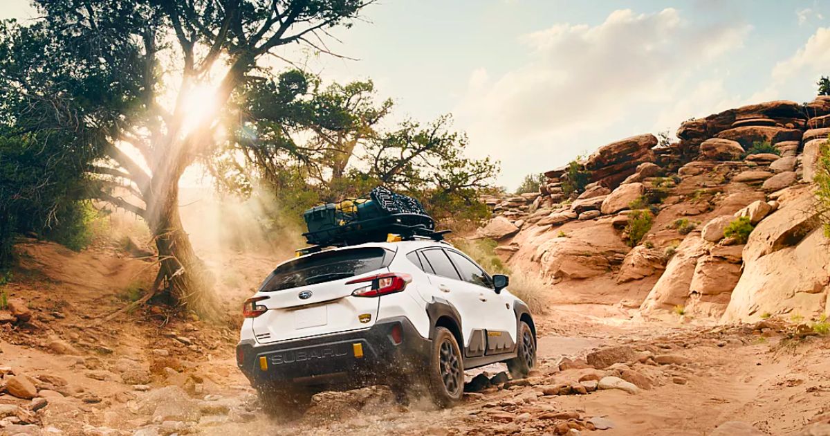 Exploring the Off-Road