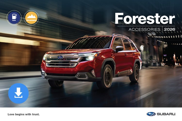 Dalton Subaru National City in National City CA