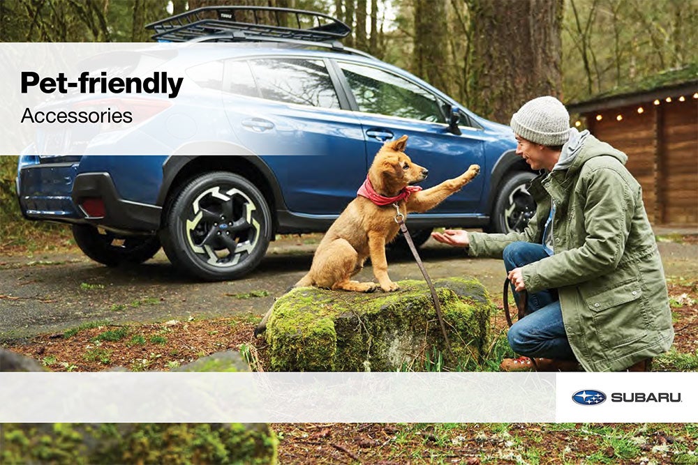 Dalton Subaru National City in National City CA