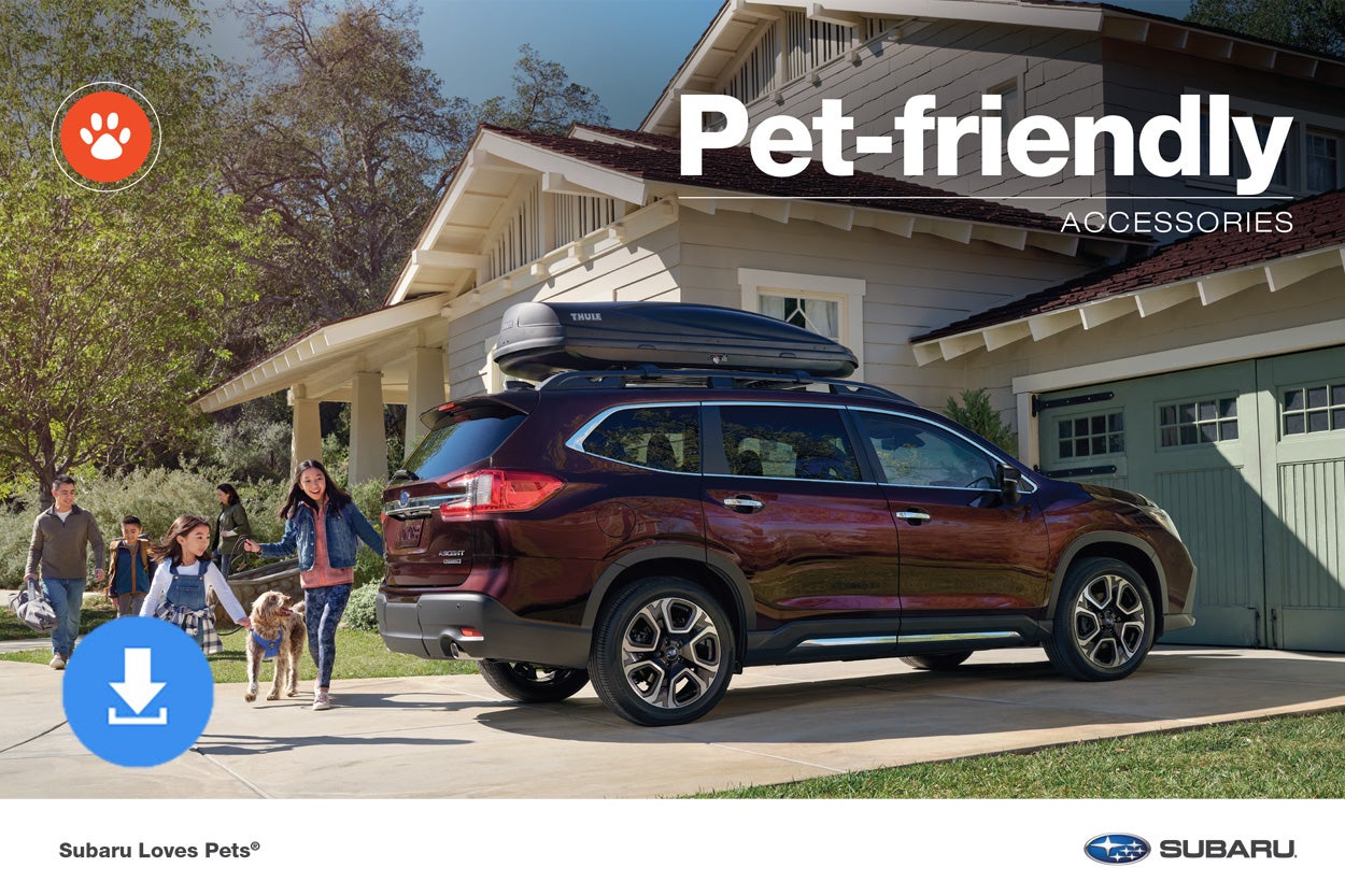 Dalton Subaru National City in National City CA