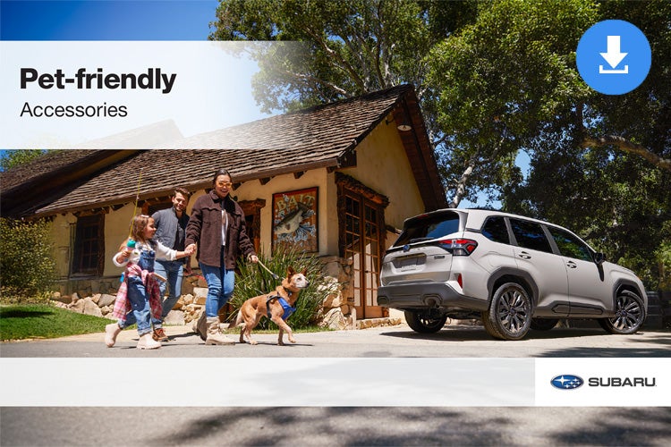 Dalton Subaru National City in National City CA