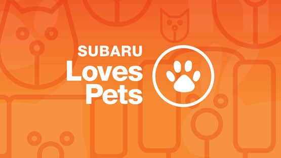 Dalton Subaru National City in National City CA