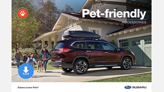 Dalton Subaru National City in National City CA