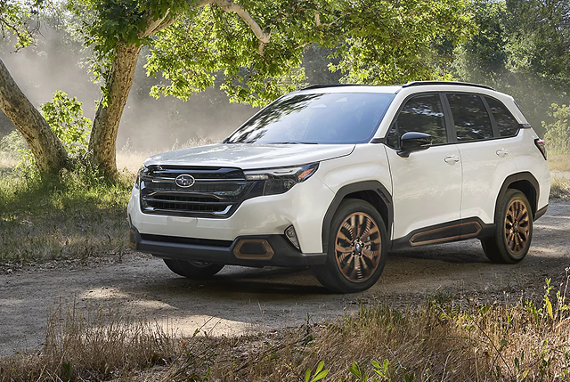 Subaru Forester interior detail 2