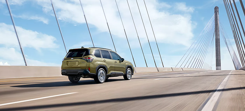 Forester Hybrid long-lasting quality