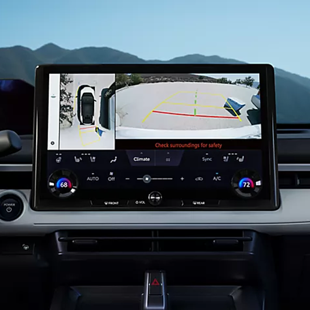 Panoramic View Monitor