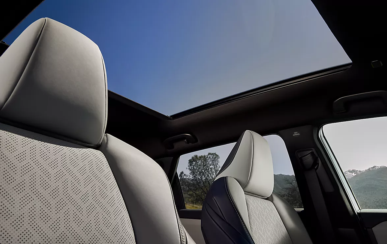 Panoramic Glass Roof