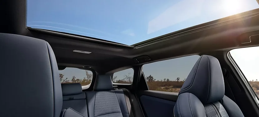 Panoramic fixed-glass roof