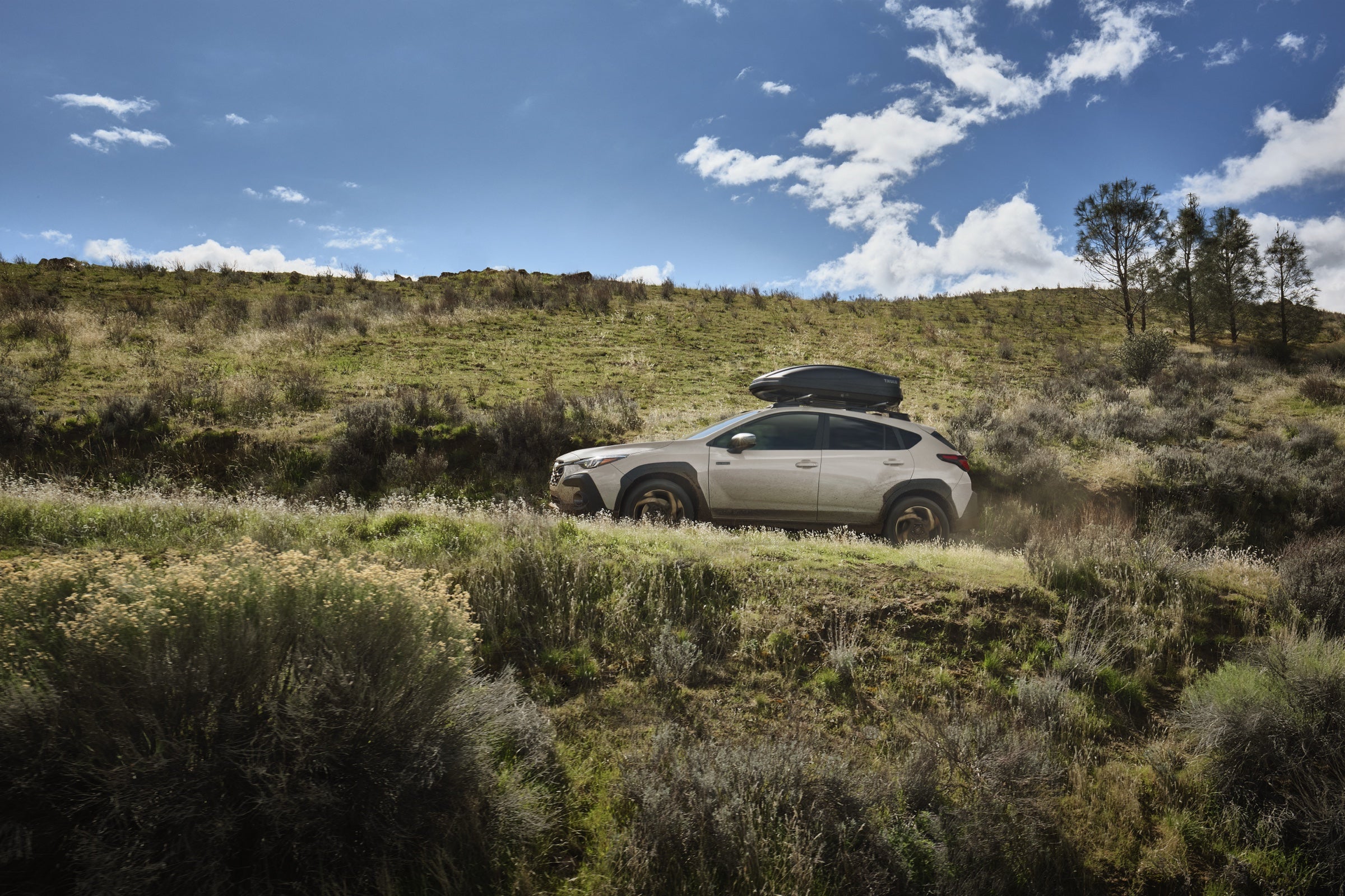 2026 Subaru Crosstrek Hybrid with a roof cargo box crossing tall grass in rolling hills — the go-anywhere capability Dalton Subaru National City buyers shop the Crosstrek for