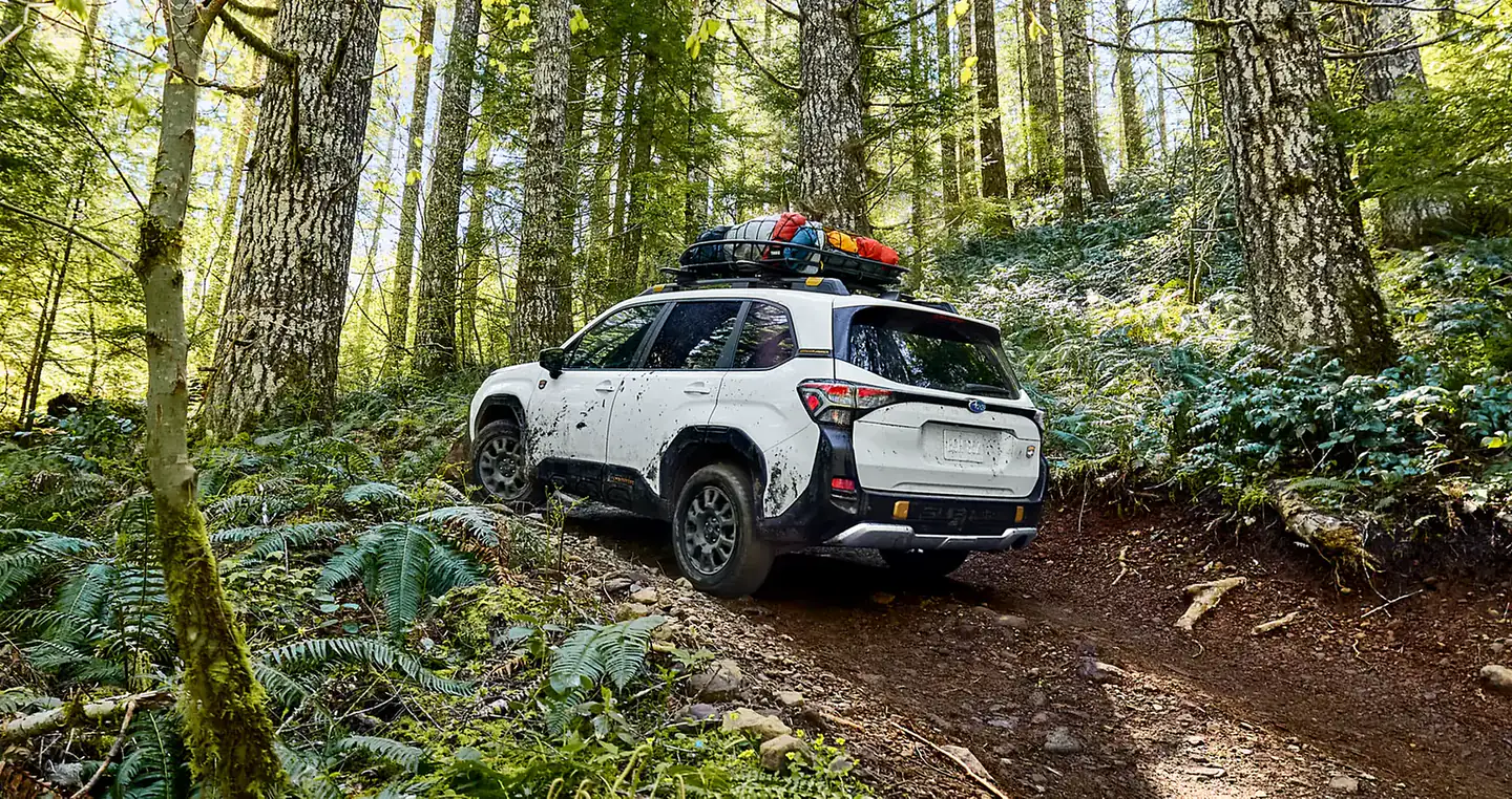 A Forester on a forest track. Gravel and dust are two of the conditions that move items forward on the schedule.
