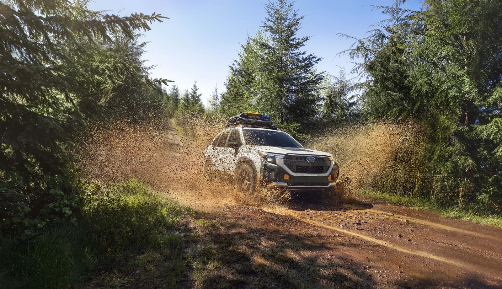 A Subaru Forester Wilderness kicking up dust on a dirt road.