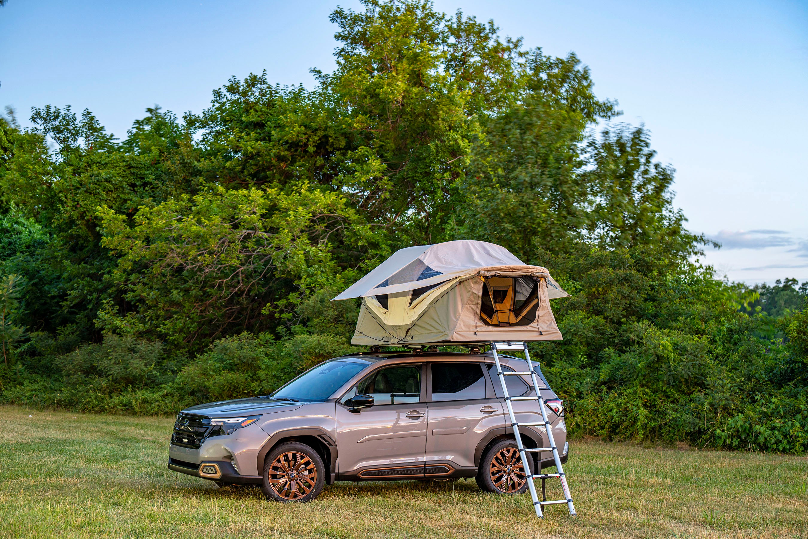 A silver Subaru parked on grass at dusk with a rooftop tent opened on the roof rails and its ladder down to the ground