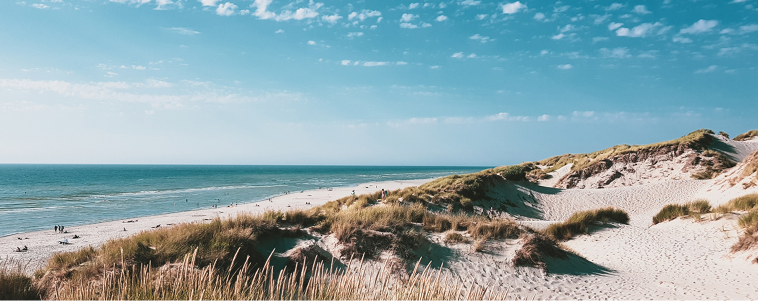 Dalton Subaru Dealership